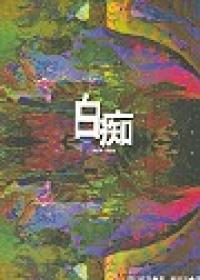 白癡（平裝）