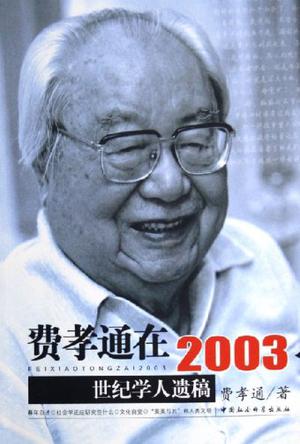 费孝通在2003