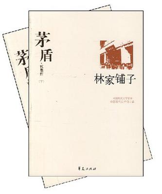 茅盾代表作（全二册）