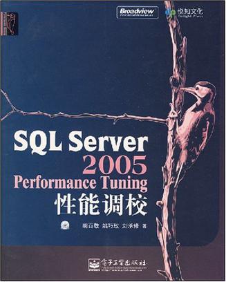 SQL Server 2005 Performance Tuning性能调校