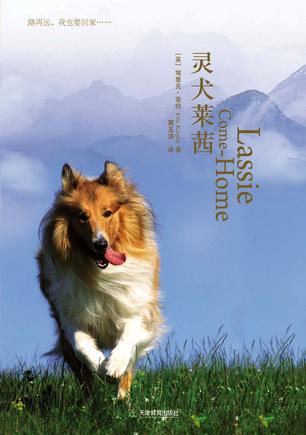 灵犬莱茜