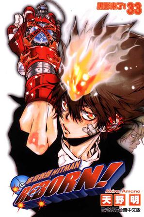 家庭教师 Hitman Reborn! Vol.33