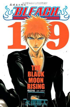 BLEACH 境·界19