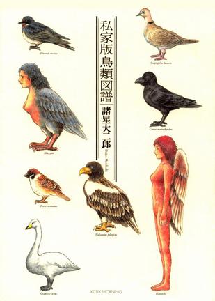 私家版鳥類図譜