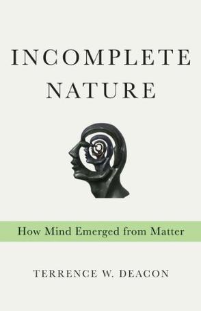 Incomplete Nature