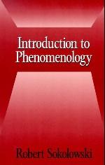 Introduction to Phenomenology