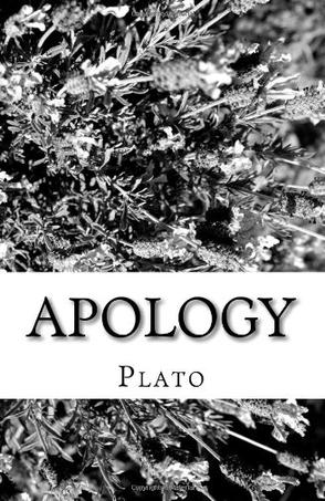 Apology