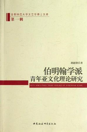 伯明翰学派青年亚文化理论研究