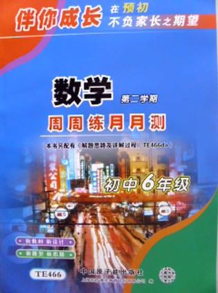 伴你成长 初中6年级第二学期/六年级下 数学周周练月月测 书+答案